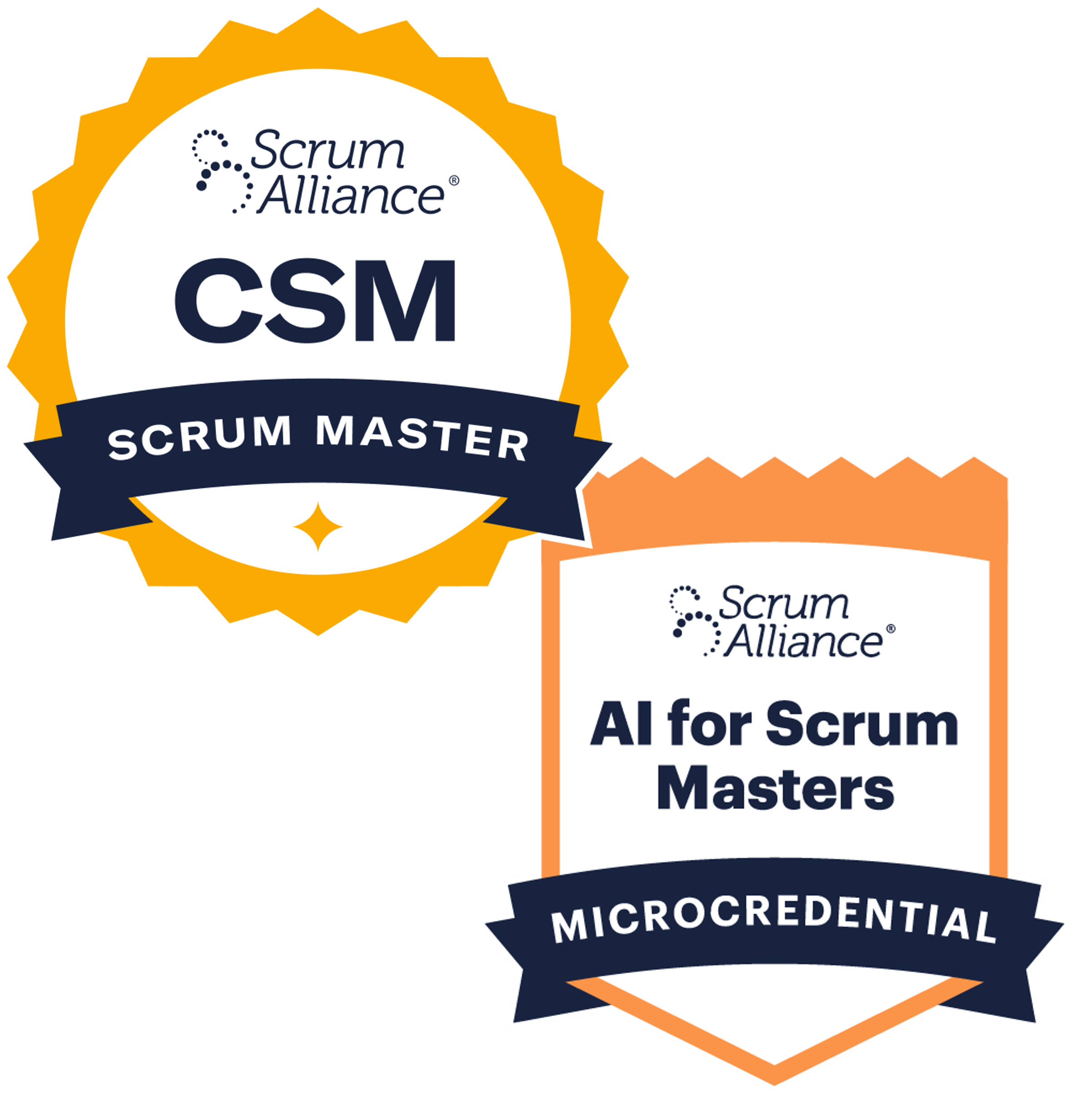 CSM Badge